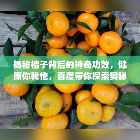 揭秘桔子背后的神奇功效，健康你我他，百度带你探索奥秘！