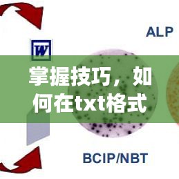 掌握技巧，如何在txt格式文件中标记及在百度云网盘高效操作指南