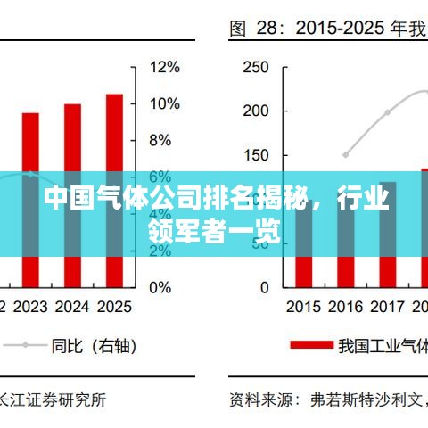 中国气体公司排名揭秘，行业领军者一览