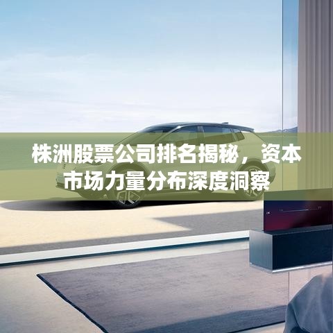 株洲股票公司排名揭秘，资本市场力量分布深度洞察
