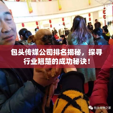 包头传媒公司排名揭秘，探寻行业翘楚的成功秘诀！