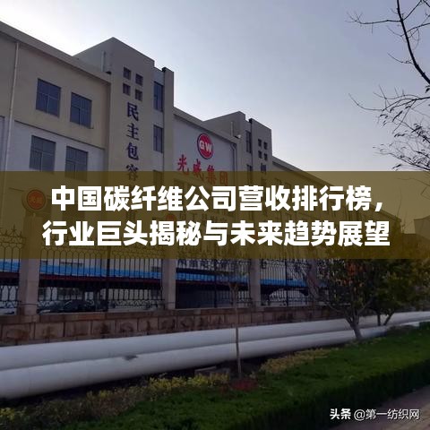 中国碳纤维公司营收排行榜，行业巨头揭秘与未来趋势展望