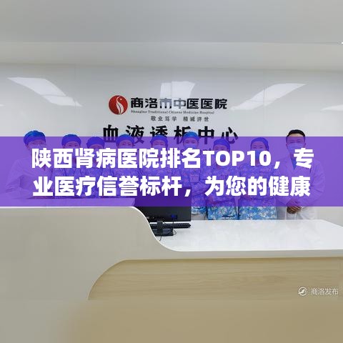 陕西肾病医院排名TOP10，专业医疗信誉标杆，为您的健康保驾护航