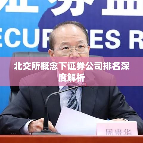 北交所概念下证券公司排名深度解析