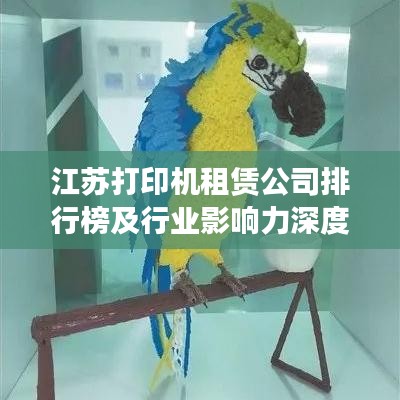 江苏打印机租赁公司排行榜及行业影响力深度解析