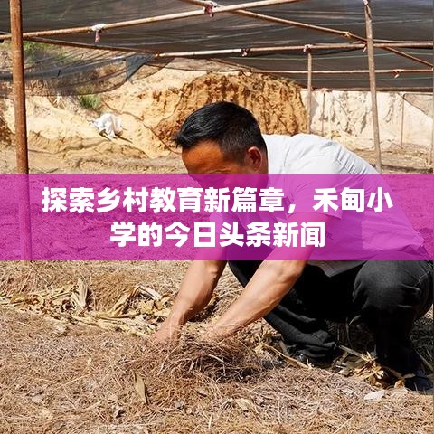 探索乡村教育新篇章，禾甸小学的今日头条新闻