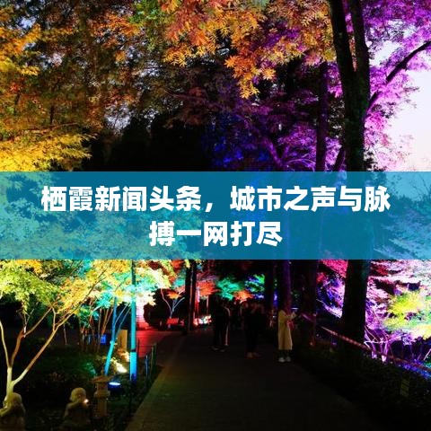 栖霞新闻头条，城市之声与脉搏一网打尽