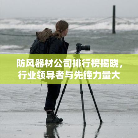 防风器材公司排行榜揭晓，行业领导者与先锋力量大揭秘