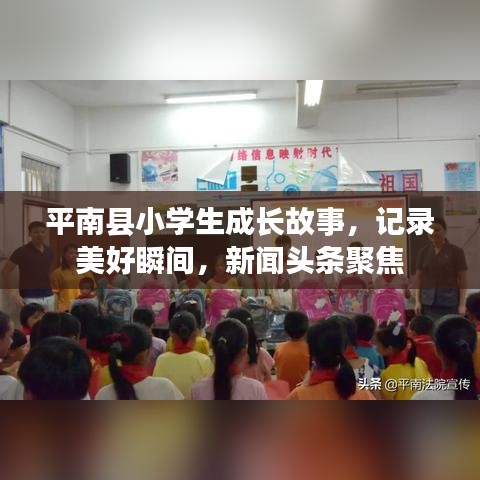 平南县小学生成长故事，记录美好瞬间，新闻头条聚焦