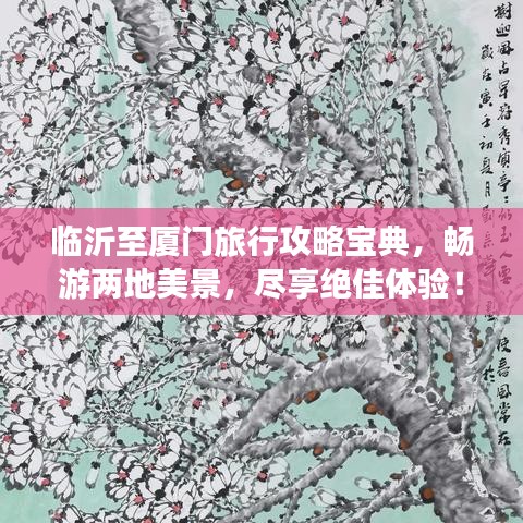 临沂至厦门旅行攻略宝典，畅游两地美景，尽享绝佳体验！