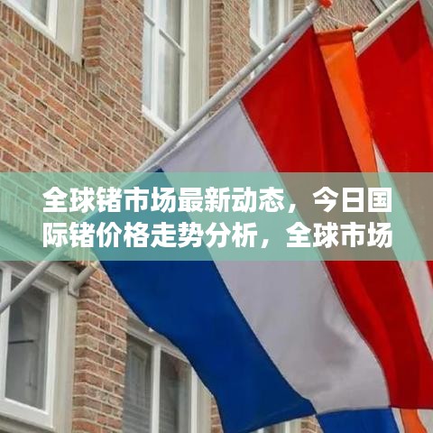 全球锗市场最新动态，今日国际锗价格走势分析，全球市场趋势揭秘