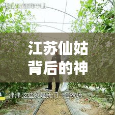 2025年6月21日 第13页