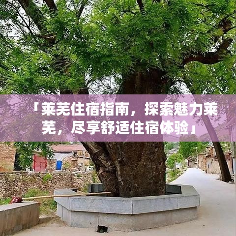 「莱芜住宿指南，探索魅力莱芜，尽享舒适住宿体验」