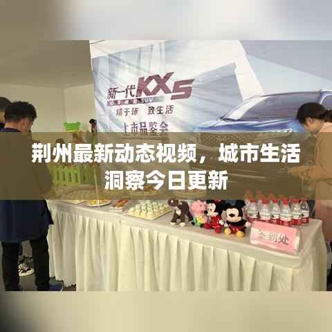 荆州最新动态视频，城市生活洞察今日更新