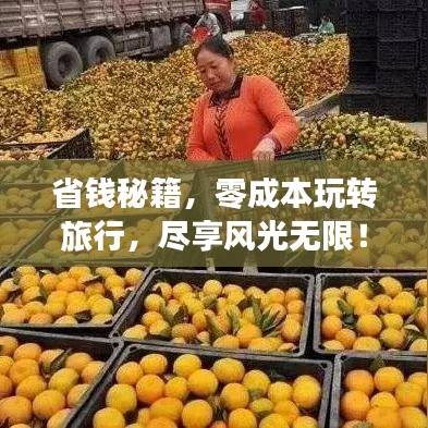 省钱秘籍，零成本玩转旅行，尽享风光无限！