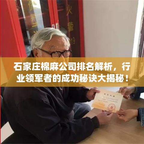 石家庄棉麻公司排名解析，行业领军者的成功秘诀大揭秘！