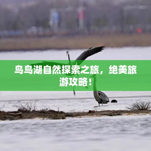 鸟鸟湖自然探索之旅，绝美旅游攻略！