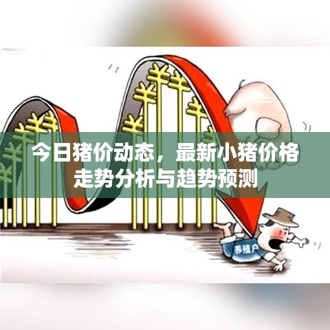 今日猪价动态，最新小猪价格走势分析与趋势预测