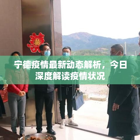 宁德疫情最新动态解析，今日深度解读疫情状况