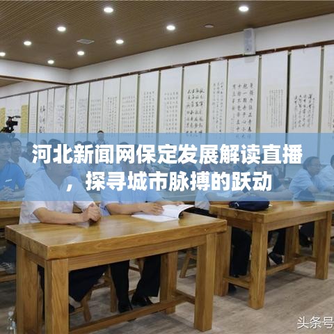 河北新闻网保定发展解读直播，探寻城市脉搏的跃动