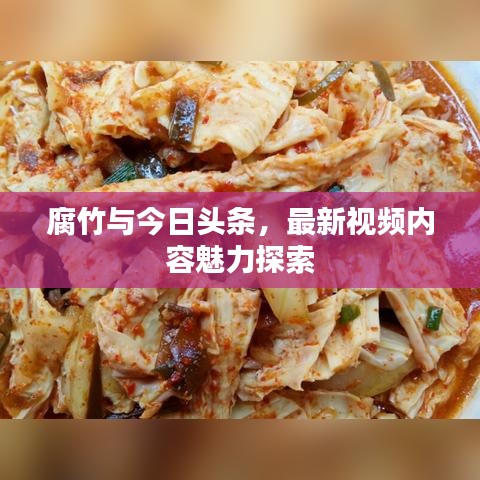腐竹与今日头条，最新视频内容魅力探索