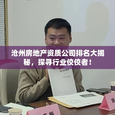 沧州房地产资质公司排名大揭秘，探寻行业佼佼者！