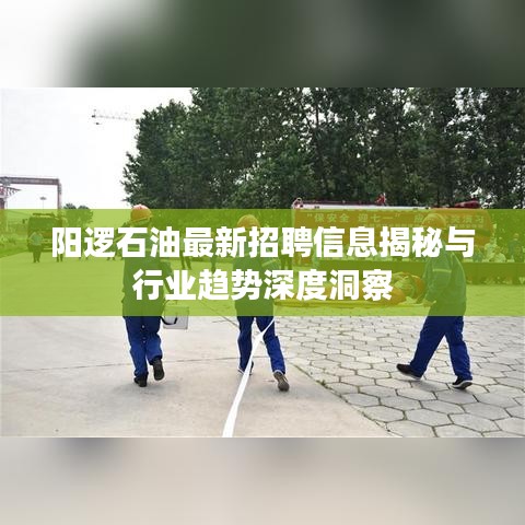 阳逻石油最新招聘信息揭秘与行业趋势深度洞察