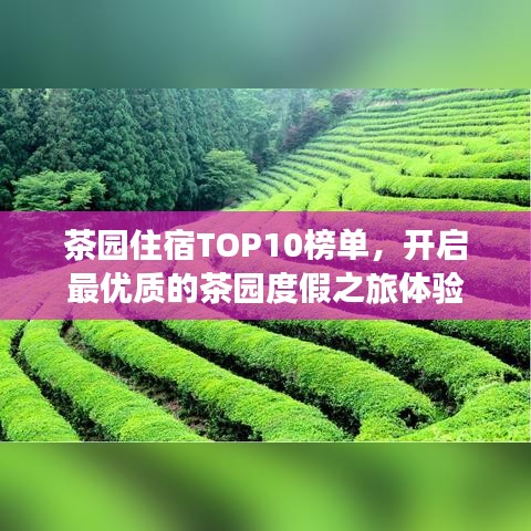 茶园住宿TOP10榜单，开启最优质的茶园度假之旅体验