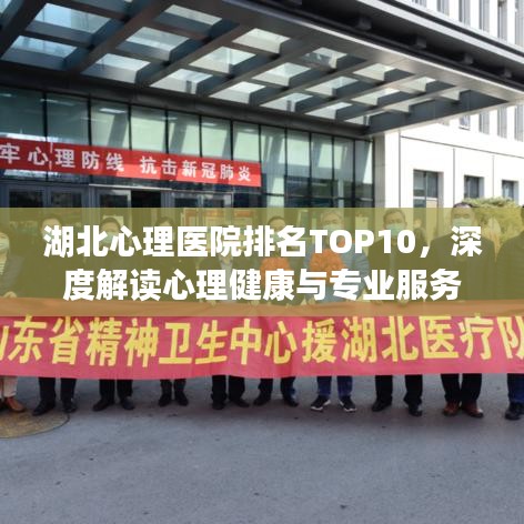 湖北心理医院排名TOP10，深度解读心理健康与专业服务的价值意义