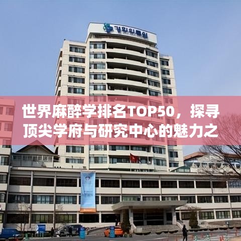 世界麻醉学排名TOP50，探寻顶尖学府与研究中心的魅力之旅