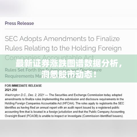 最新证券涨跌图谱数据分析，洞悉股市动态！