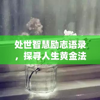 处世智慧励志语录，探寻人生黄金法则，领悟生活真谛