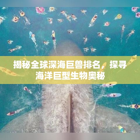 揭秘全球深海巨兽排名，探寻海洋巨型生物奥秘