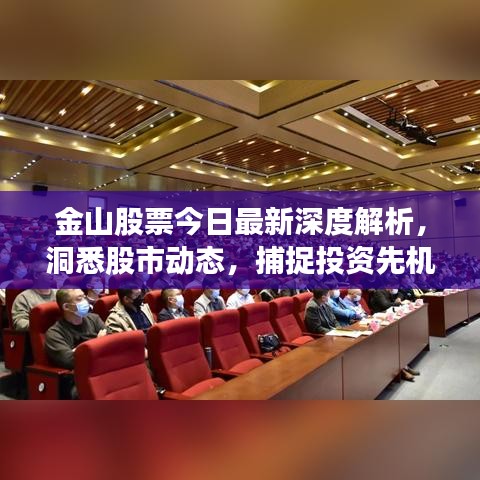 金山股票今日最新深度解析，洞悉股市动态，捕捉投资先机