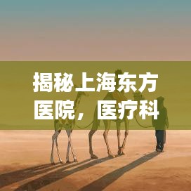 揭秘上海东方医院，医疗科技先锋，患者健康守护者