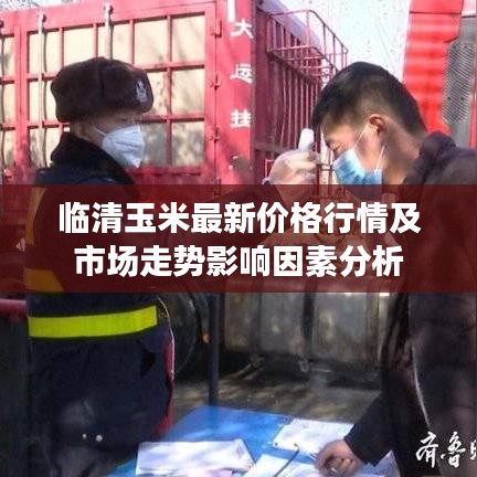 临清玉米最新价格行情及市场走势影响因素分析