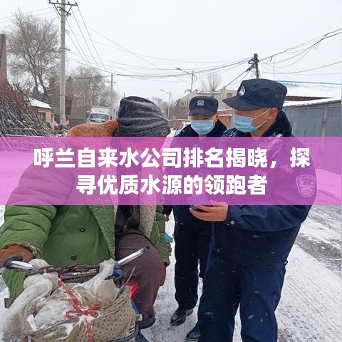 呼兰自来水公司排名揭晓，探寻优质水源的领跑者