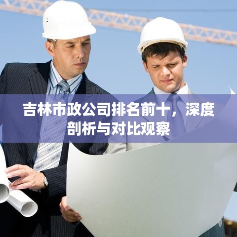 吉林市政公司排名前十，深度剖析与对比观察