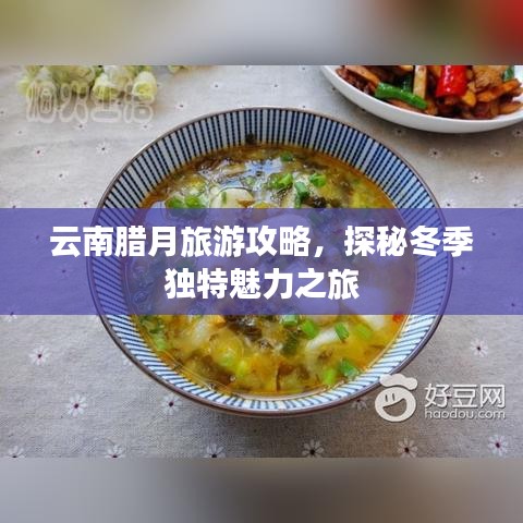 云南腊月旅游攻略，探秘冬季独特魅力之旅