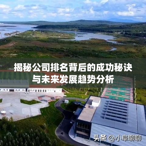 揭秘公司排名背后的成功秘诀与未来发展趋势分析