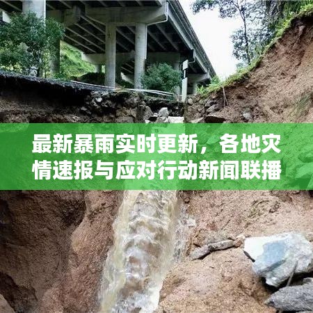 最新暴雨实时更新，各地灾情速报与应对行动新闻联播