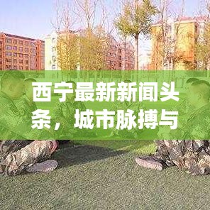 西宁最新新闻头条，城市脉搏与民生焦点速览