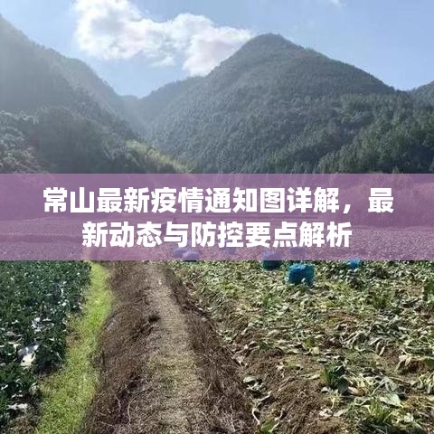 常山最新疫情通知图详解，最新动态与防控要点解析