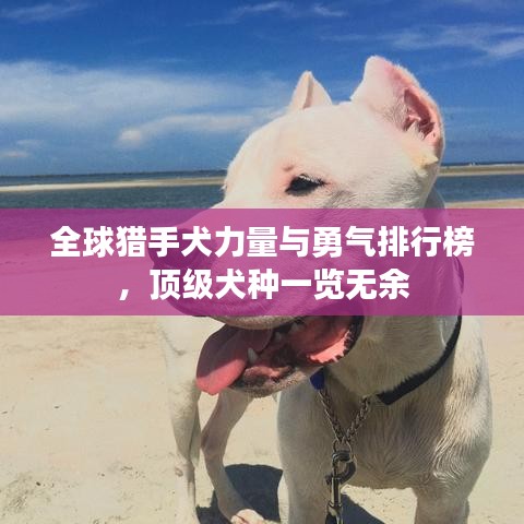 全球猎手犬力量与勇气排行榜，顶级犬种一览无余