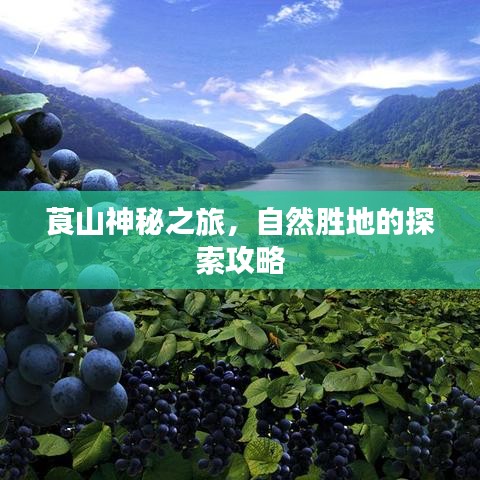 2025年6月25日 第4页