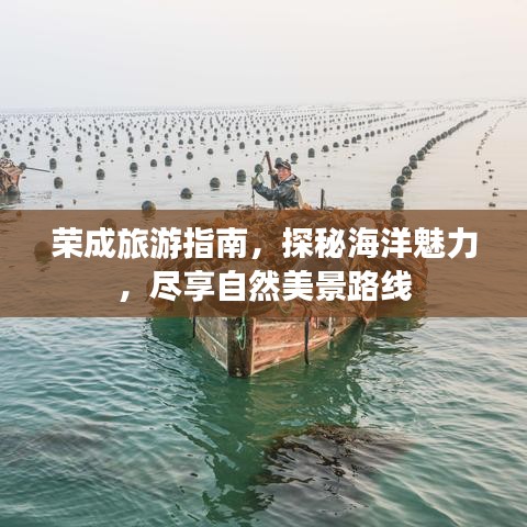 荣成旅游指南，探秘海洋魅力，尽享自然美景路线