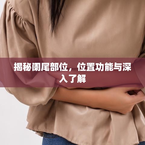 揭秘阑尾部位，位置功能与深入了解