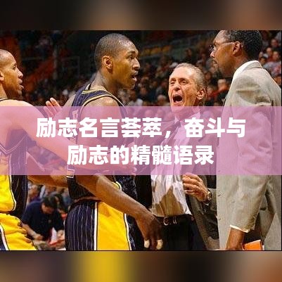 励志名言荟萃，奋斗与励志的精髓语录