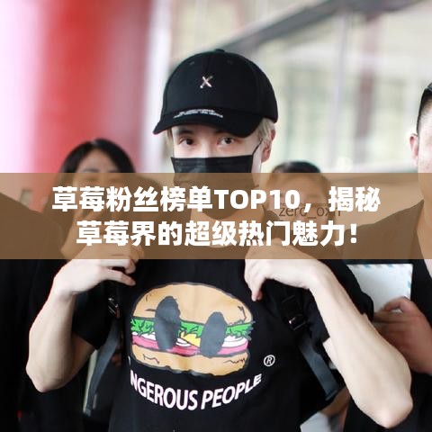 草莓粉丝榜单TOP10，揭秘草莓界的超级热门魅力！