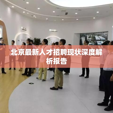 北京最新人才招聘现状深度解析报告